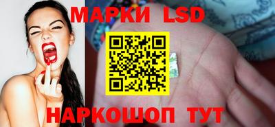 spice Кунгур