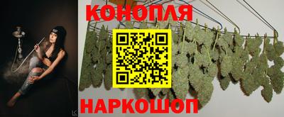 spice Кунгур