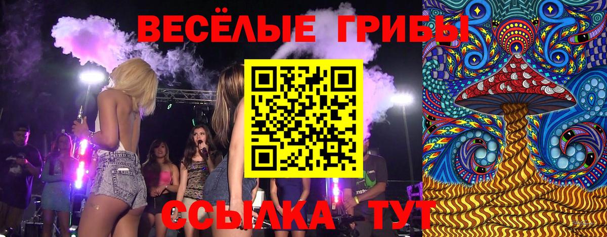 Егорьевск  Галлюциногенные грибы прущие грибы  Вход с VPN 